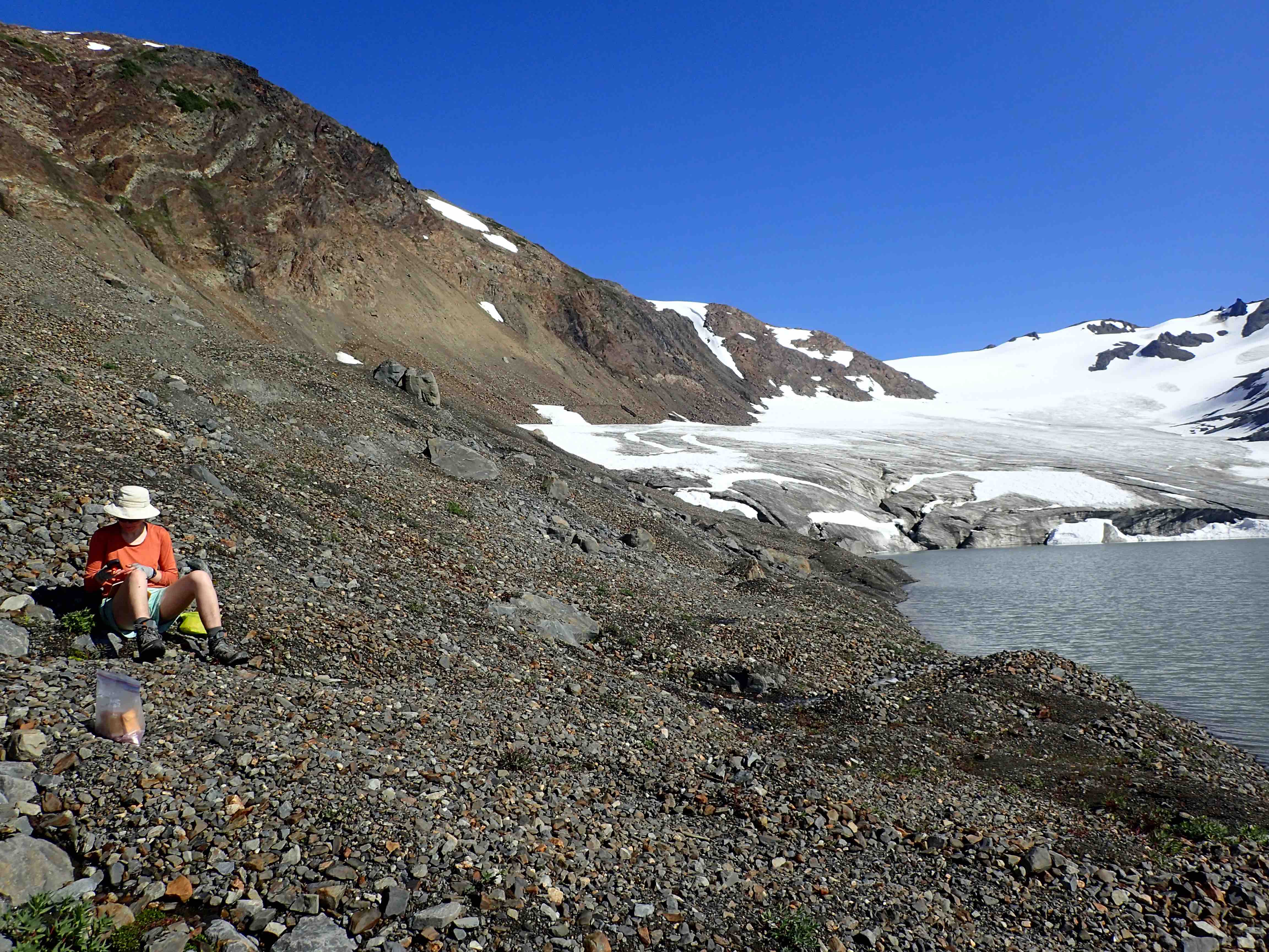 sampling plant tissue at the glacier edge